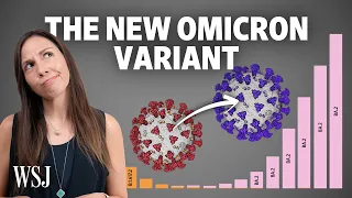 BA.2 Omicron: What to Know About the New Covid Variant