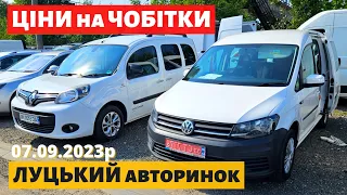 ЦІНИ на ЧОБІТКИ /// Луцький авторинок /// 7 вересня 2023р