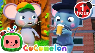 The Country Mouse and the City Mouse | Animal Time | CoComelon Nursery Rhymes & Kids Songs