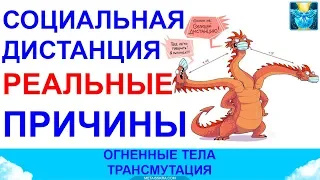 Социальная дистанция и изоляция. Для чего они РЕАЛЬНО нужны системе?