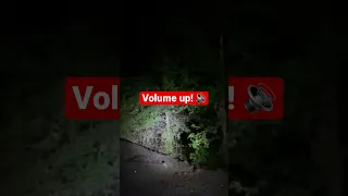 Bigfoot Vocalizations Recorded on Camera! |Communications Between Multiple Sasquatch