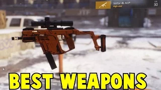 The Division Best Weapons