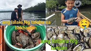 Hunting sea mangrove oyster O TALABA | mahirap konin piru solit (Mr.ickotv) #cooking #mr