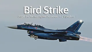 航空自衛隊 F-2 戦闘機 バードストライク? 離陸緊急中止 [ 百里基地 ]・Bird Strike・JASDF 3sq F-2 ViperZero