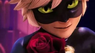 YELLOW ROSE THEORY| MIRACULOUS LADYBUG|NEW YORK SPECIAL|FANMADE