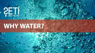 Science Bites: Why Water?