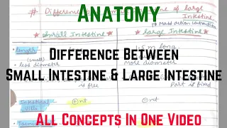 Difference b/w Small & Large Intestine | Anatomy [Rachana Sharir] | BAMS First Year | Being Doctor 😈