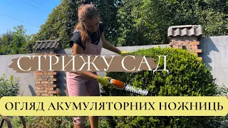 СТРИЖУ САД🏡/ПЛАНИ НА ОСІНЬ 🍂 НАДАЮ ФОРМИ ЛИСТЯНИМ ДЕРЕВАМ🌳АКУМУЛЯТОРНІ НОЖИЦІ STIHL#садівництво