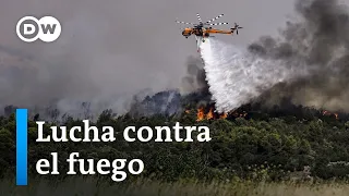 Grecia lucha por apagar los arrasadores incendios forestales.