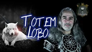 O poder espiritual do lobo - Totem - Animal de poder.