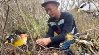 How To Trap Wild Birds In Traditional Way | Unlucky Day 😬😬| @achenvlogs