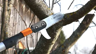 Fiskars QuikFit Telescopic Pruning Saw Test in Action