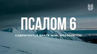 Библия. Псалом 6. Современный перевод #БиблияOnline