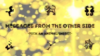 Messages From The Other Side Mediumship Reading ~ Pick An Animal/Insect ~ All Signs