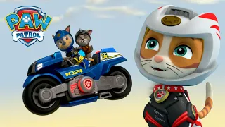 Wild Cat and Moto Pups save Chase and the Ruff Ruff Pack! - PAW Patrol Episode - Cartoons for Kids