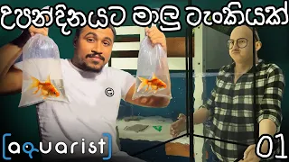 උපන්දිනයට මාලු ටැංකියක් | Aquarist Ep-01