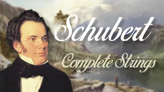 Schubert: Complete String Quartets