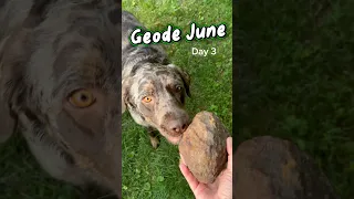 Geode June Day 3 #geodejune #geodeornodule #kentuckygeode