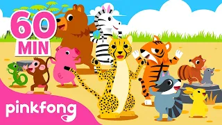 Belajar Klassifikasi dan ciri-ciri Binatang | Kumpulan | Ekorku dimana? | Pinkfong Baby Shark