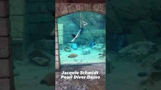 Pearl Diver/Free Diving Sea World Demo