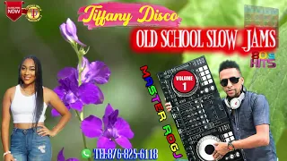 TIFFANY DISCO OLD SCHOOL 80  SLOW JAMS DJ MASTER ROGJ TEL-876-825-6118