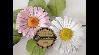 Quilling Daisies / Daisy (Margeriten) flower tutorial