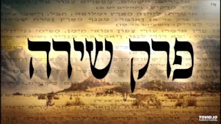 Perek Shirah - Hebrew Meditative Songs