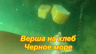 Верши на хлеб. Черное море. Абхазия. Ловля рыбы и крабов на Черном море.