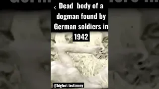 Body of dogman found by German soldiers in 1942 #shorts #cryptic #dogman