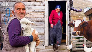 Plateau Life of the Family in the Mountains - Migration to the Village in Autumn - Documentary - 4K