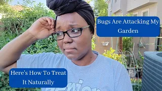 Bugs Are Attacking My Garden  - Here's How To Treat It Naturally