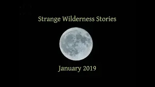 A Collection of Strange Wilderness Stories - January 2019