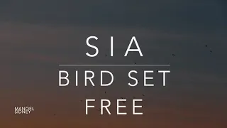 Sia - Bird Set Free (Lyrics/Tradução/Legendado)(HQ)