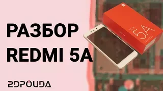 Разбор смартфона Redmi 5A |2DROIDA