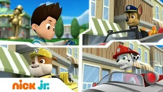 Щенячий патруль | Обучающие задачи | Nick Jr. Россия