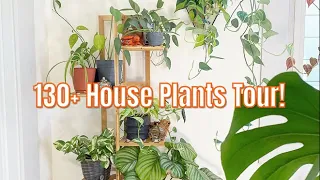 UPDATED House Plant Tour: 130+ Plants in my 700 sq ft Home!