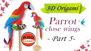 3D Origami Big Parrot_Close Wings_Part 5_Pro-Expert_Tutorial