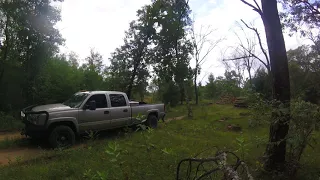 PULLING HUNG UP OAK DOWN WITH MY PICKUP