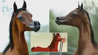 Viral Photos Of A Cartoon-Like Designer Horse Will Make Your Jaw Drop