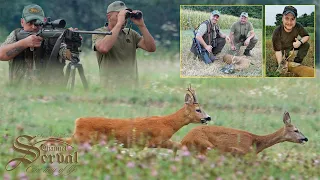 Roe Deer Hunting in Croatia - Djelekovec 2022.
