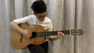 Someone Like You by Shuang (Arranged by Sungha Jung)