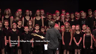"Le bruit" d'Oldelaf par la chorale du Collège REVERDY (Sablé sur Sarthe - Marc Leroy)