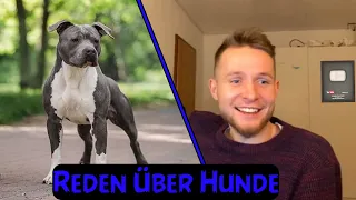 "Kampfhund" Pläne 2021?🐕 + @HagenLausse der Hunde Experte 😇 !!! | Maeximiliano Livestream Highlight