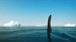 Shark attack on Penguins