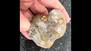 Queensland Agate and South Texas agate. What’s inside? Let’s find out.