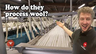 WOOL  |  SCOURING AND CARDING