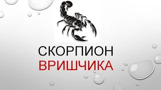 Характеристики знака Скорпиона - презентация Татьяны