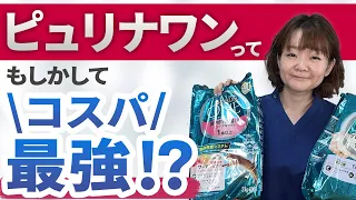 【これで決定】獣医が本気で選ぶコスパ最強キャットフード