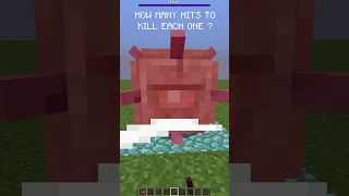 Wait For The End ! - Minecraft #shorts