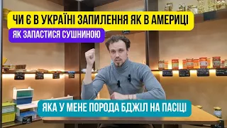 Чи є в Україні запилення за гроші? Як запастися сушниною? Яка порода бджіл у мене на пасіці?